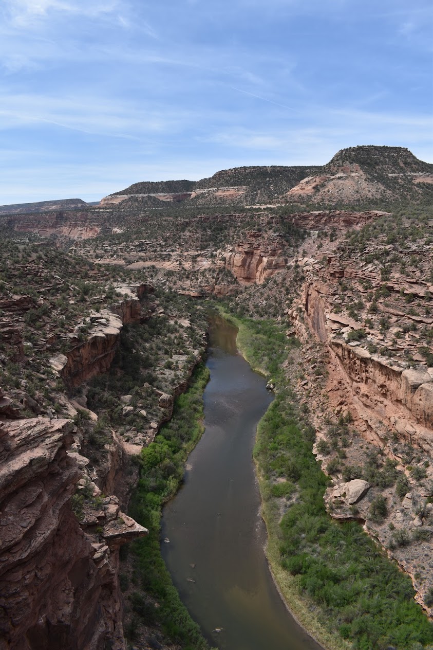 colorado river nature