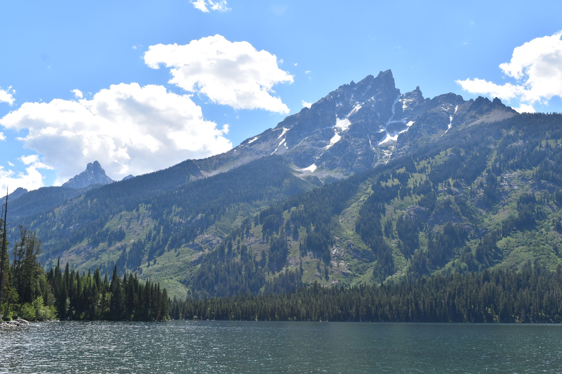 grand teton national park nature