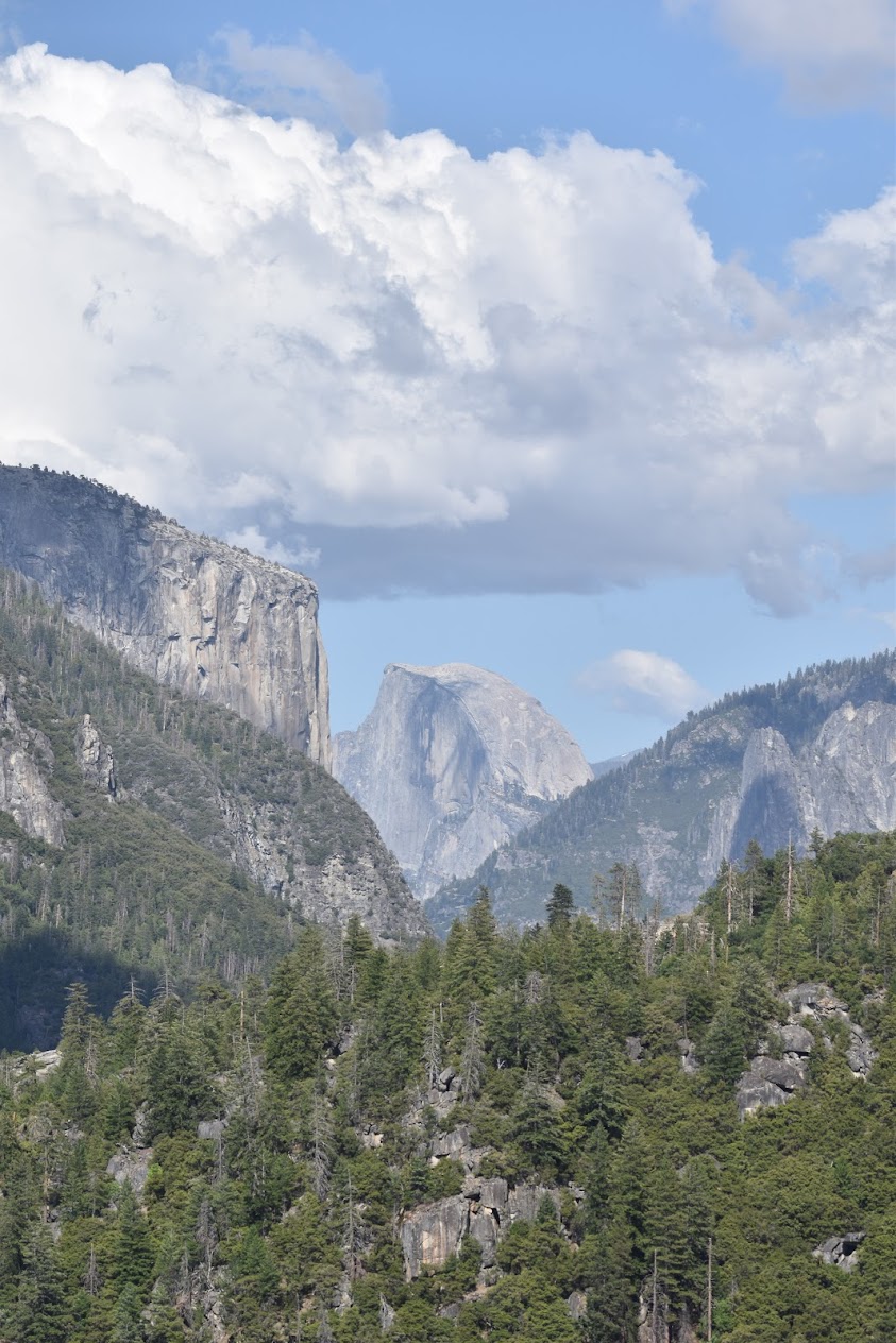 halfdome nature yosemite national park