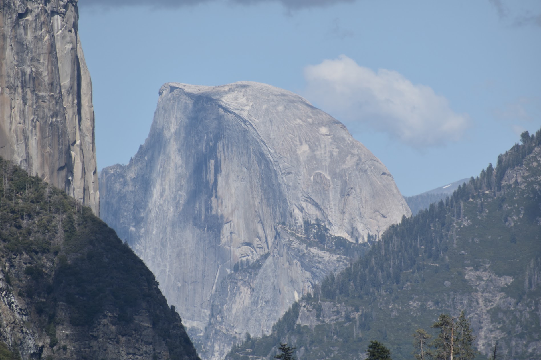 halfdome nature yosemite national park