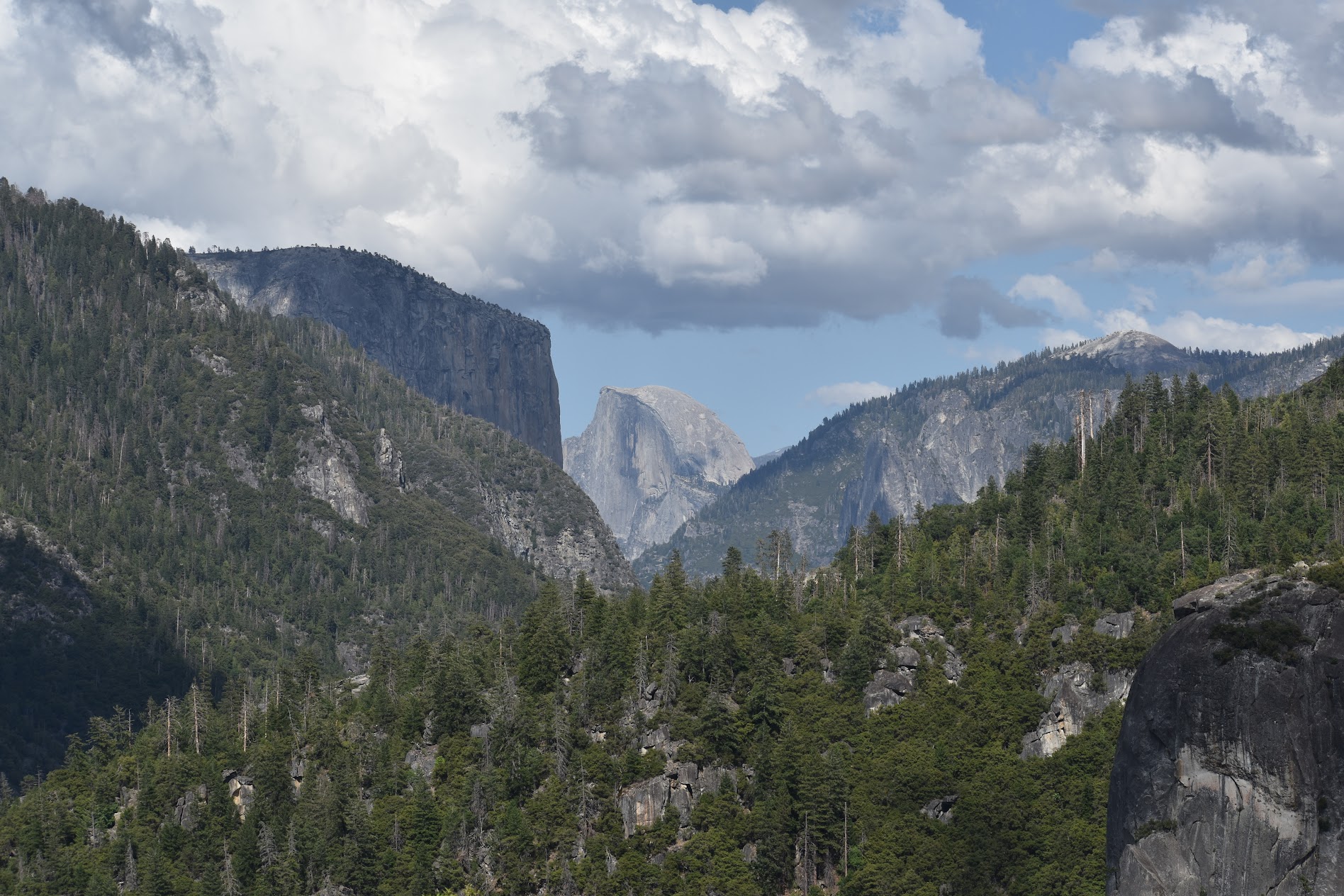 halfdome nature yosemite national park